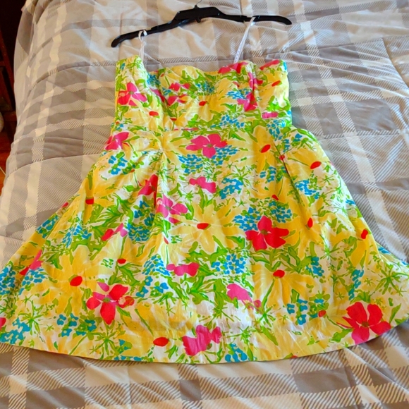 Lilly Pulitzer Dresses & Skirts - Lilly Pulitzer Woman's Dress size 10